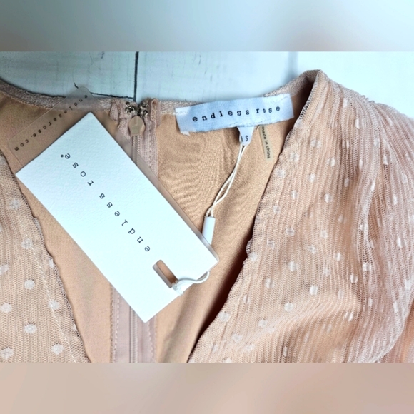 NEW Endless Rose Anthropologie Sheer Nude Pink Ruched Mini Dress Swiss Polka Dot - Picture 14 of 16